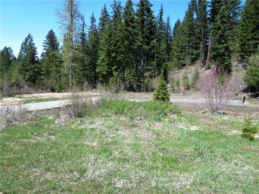 1101 Stone Ridge Drive Cle Elum, WA 98922 - Photo 2 of 17 Gallery Image 2