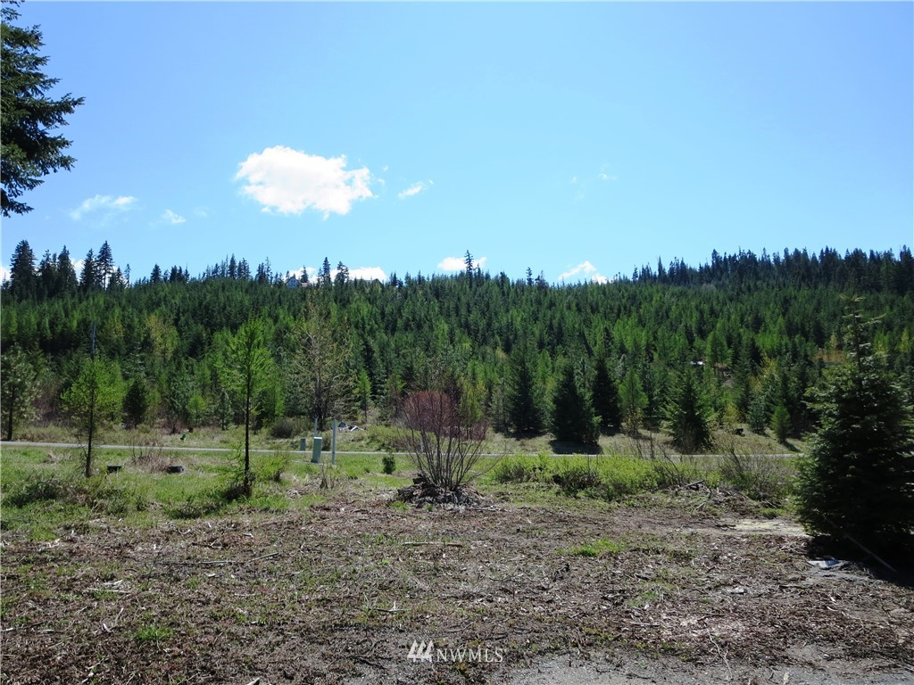 1101 Stone Ridge Drive Cle Elum, WA 98922 - Photo 11 of 17 Gallery Image 11