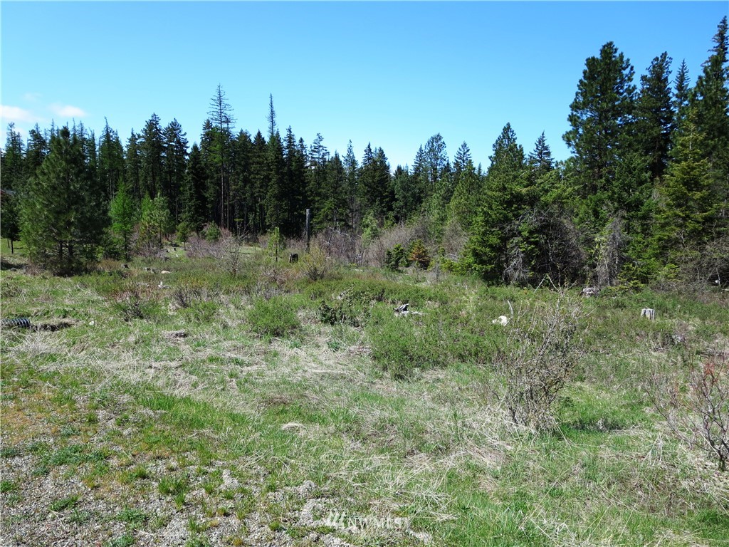 1101 Stone Ridge Drive Cle Elum, WA 98922 - Photo 12 of 17 Gallery Image 12