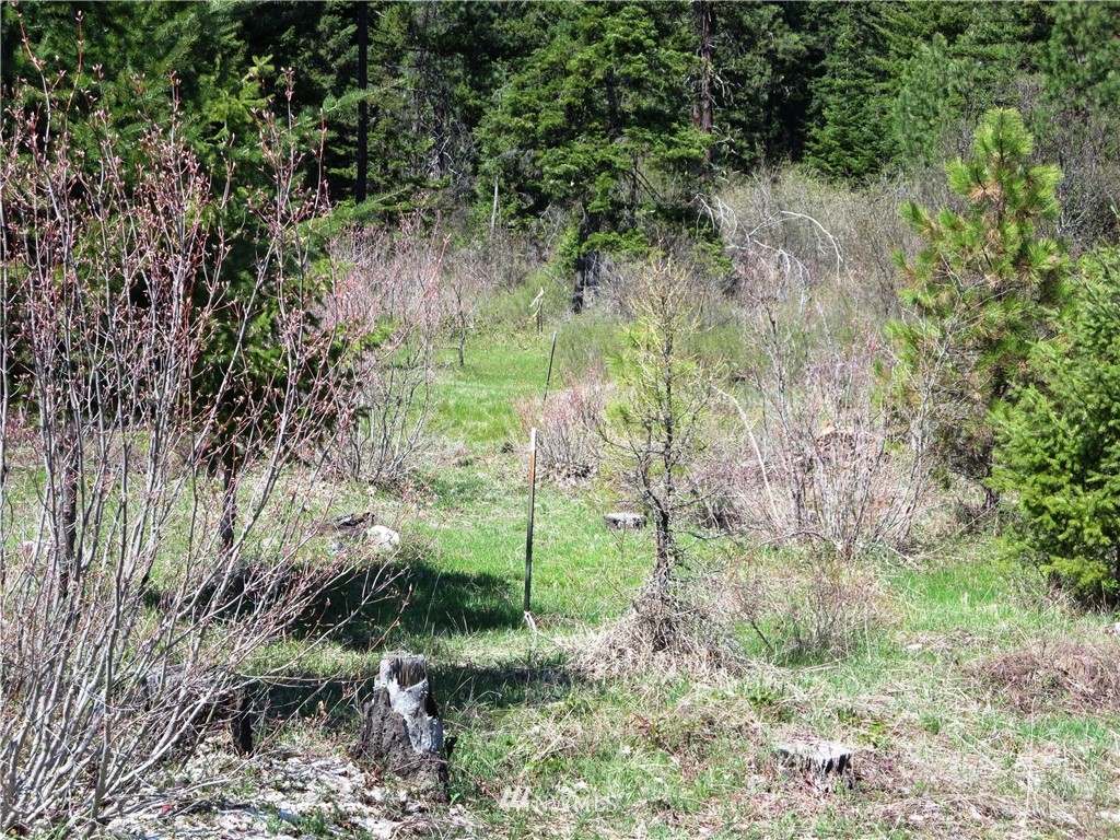 1101 Stone Ridge Drive Cle Elum, WA 98922 - Photo 13 of 17 Gallery Image 13