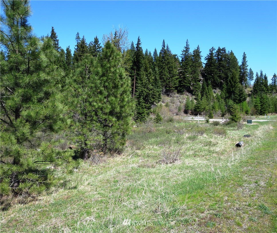 1101 Stone Ridge Drive Cle Elum, WA 98922 - Photo 14 of 17 Gallery Image 14