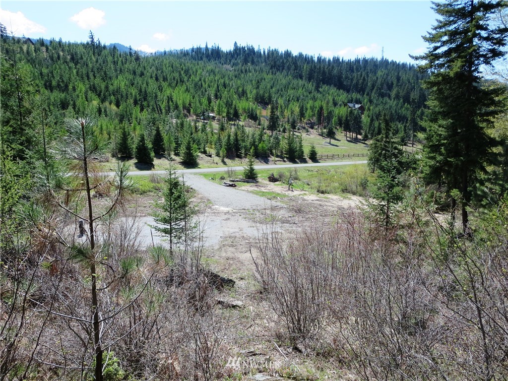 1101 Stone Ridge Drive Cle Elum, WA 98922 - Photo 16 of 17 Gallery Image 16