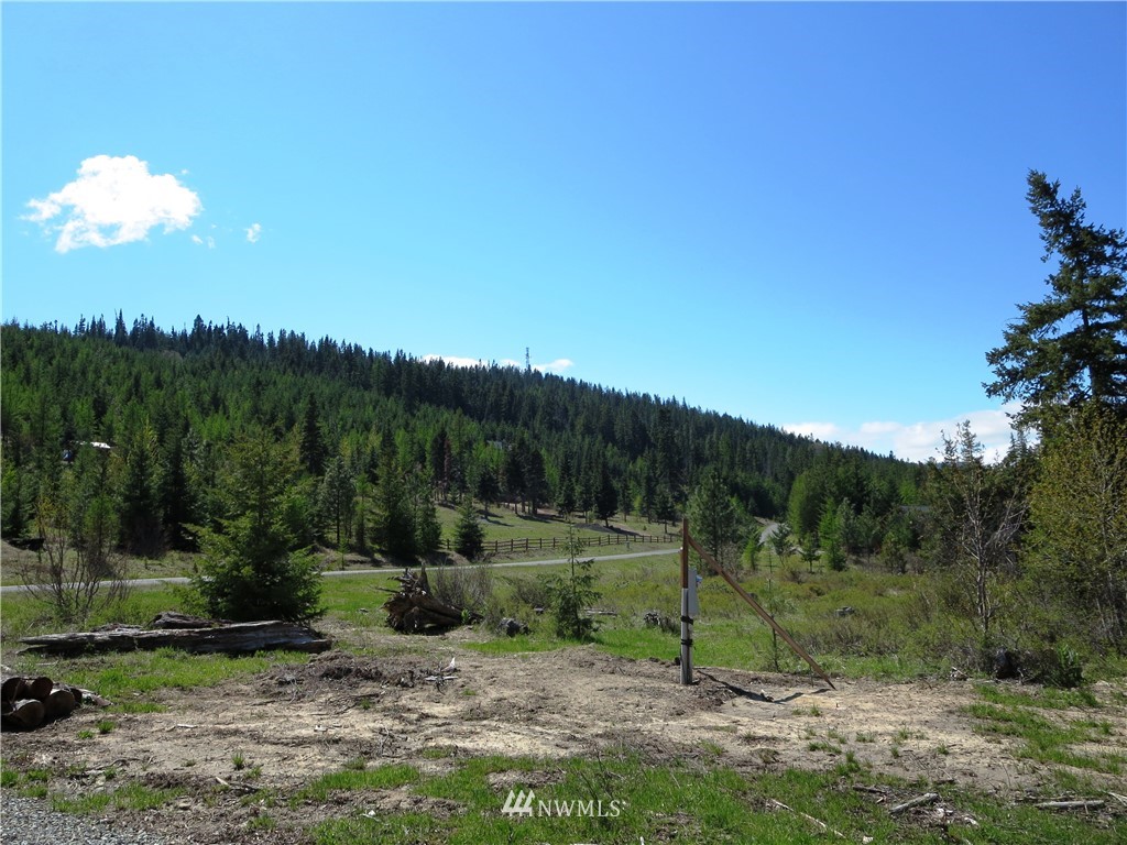 1101 Stone Ridge Drive Cle Elum, WA 98922 - Photo 17 of 17 Gallery Image 17