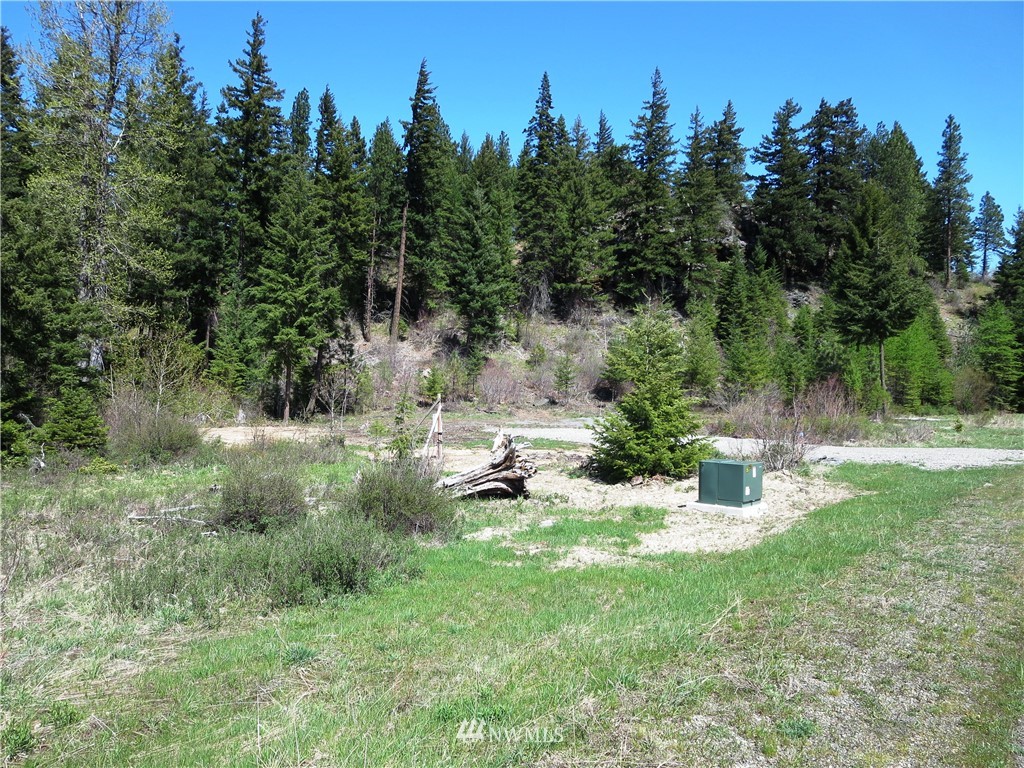 1101 Stone Ridge Drive Cle Elum, WA 98922 - Photo 3 of 17 Gallery Image 3
