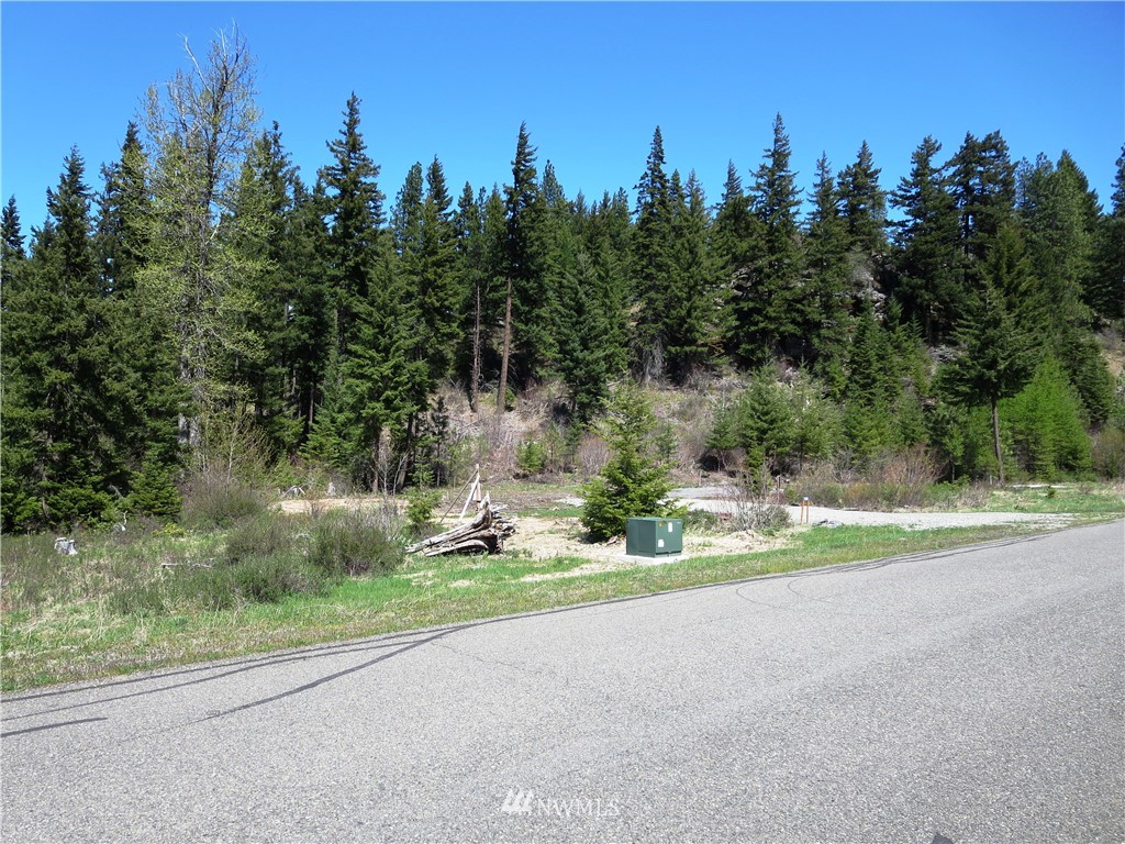 1101 Stone Ridge Drive Cle Elum, WA 98922 - Photo 4 of 17 Gallery Image 4