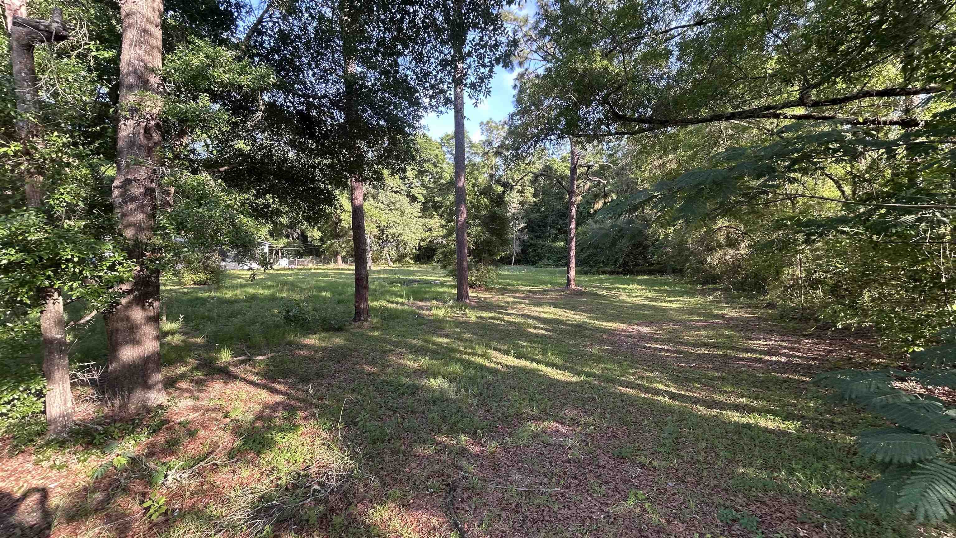 1395 Rainbow Road Tallahassee, FL 32305 - Photo 4 of 4 Gallery Image 4