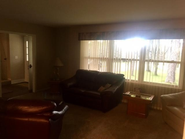 21463 West 6 Mile Road Reed City, MI 49677 - Photo 37 of 40 image26