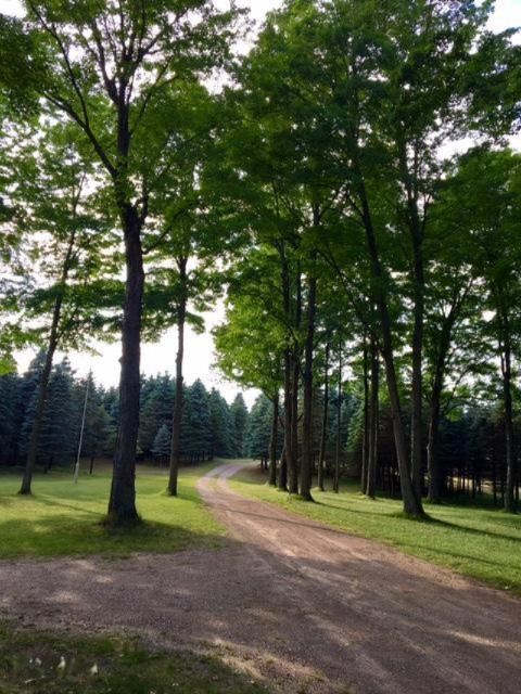21463 West 6 Mile Road Reed City, MI 49677 - Photo 8 of 40 image34