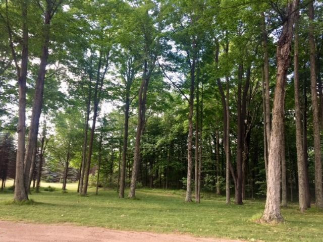 21463 West 6 Mile Road Reed City, MI 49677 - Photo 9 of 40 image32