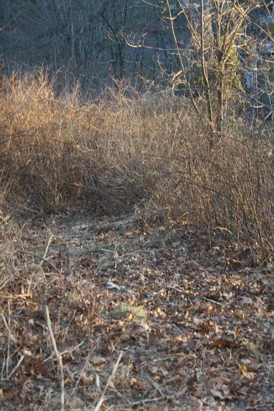 Zion Mountain Road Hinton, WV 25951 - Photo 70 of 73 Gallery Image 70