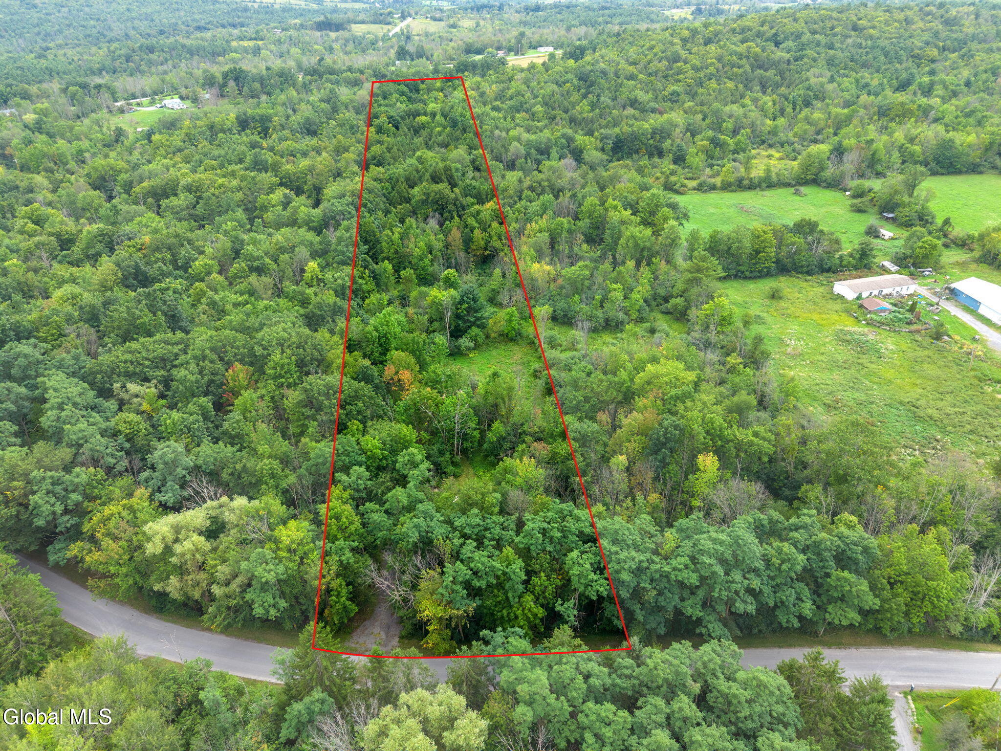 165 Cleveland Road Carlisle, NY 12160 - Photo 1 of 30 1-165ClevelandRd_001