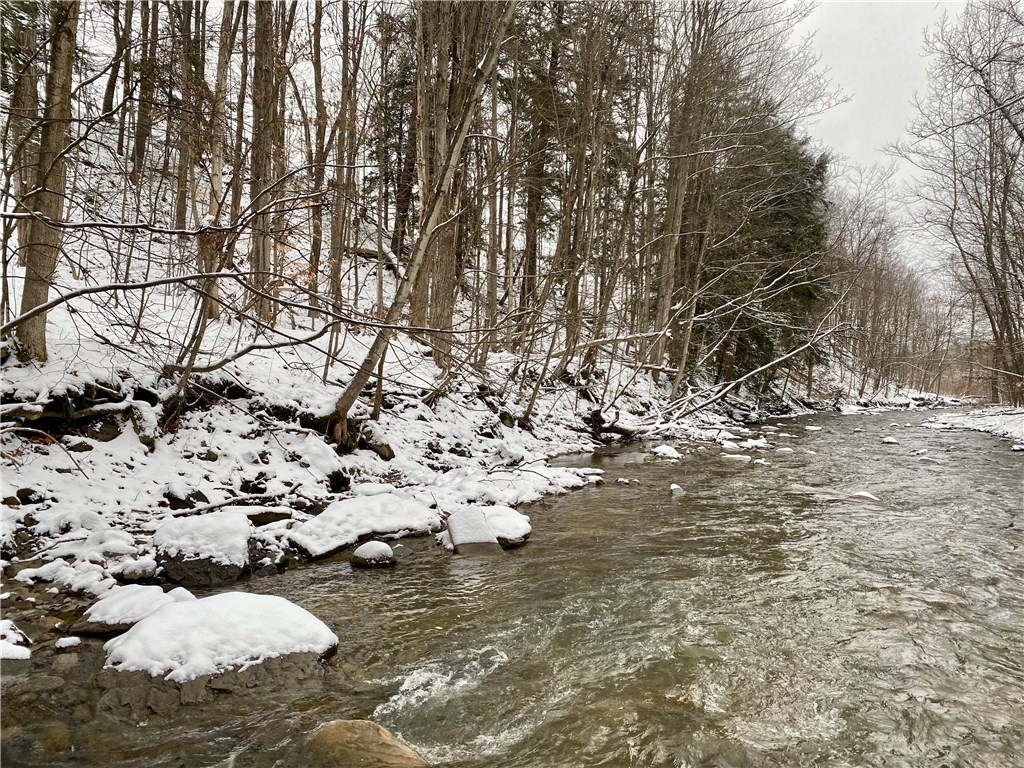 1605 Cheese Factory Road Portage, NY 14836 - Photo 1 of 1