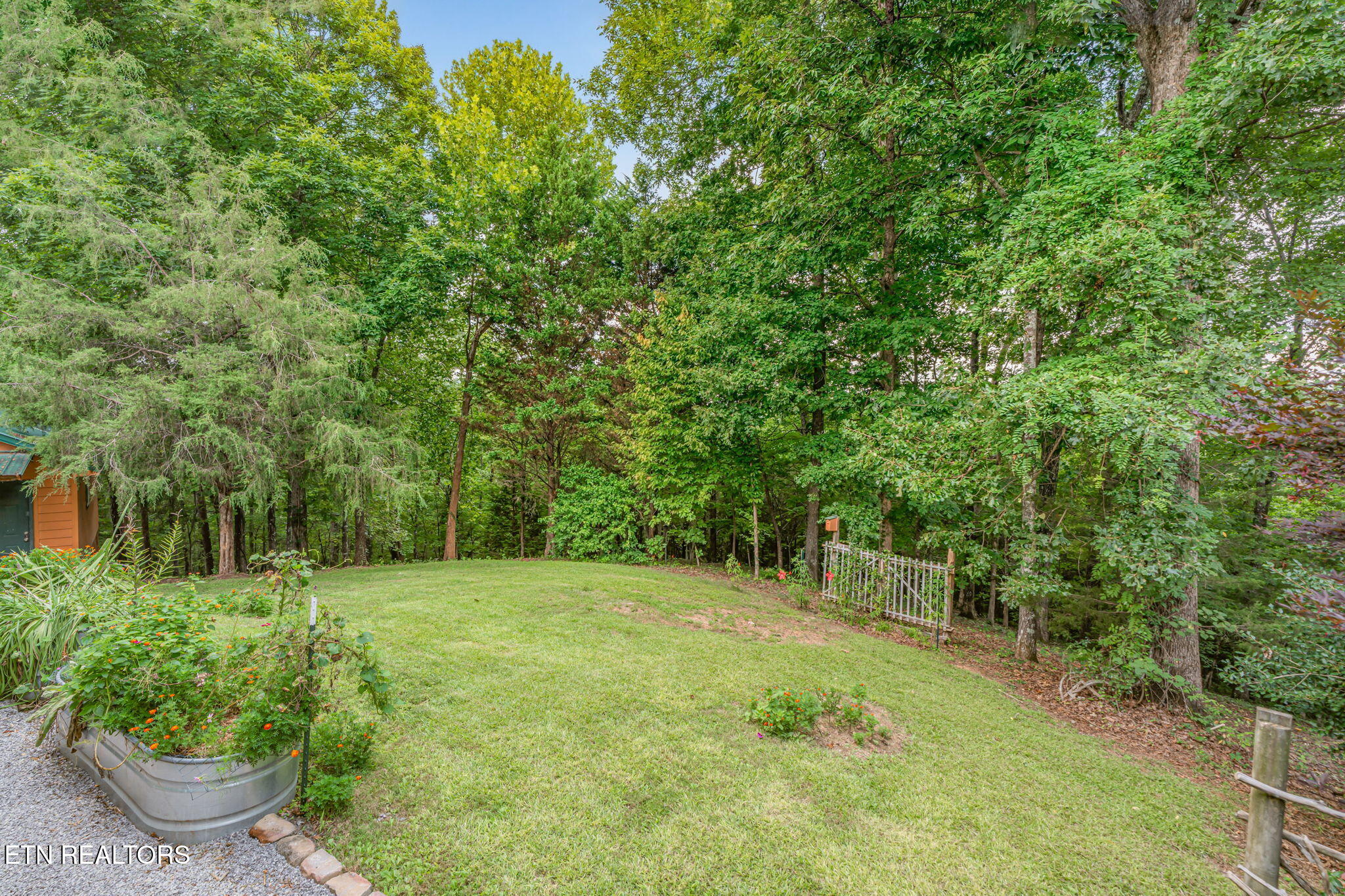 414 Shaddon Road Tellico Plains, TN 37385 - Photo 34 of 56 47-web-or-mls-414 Shaddon Road-21