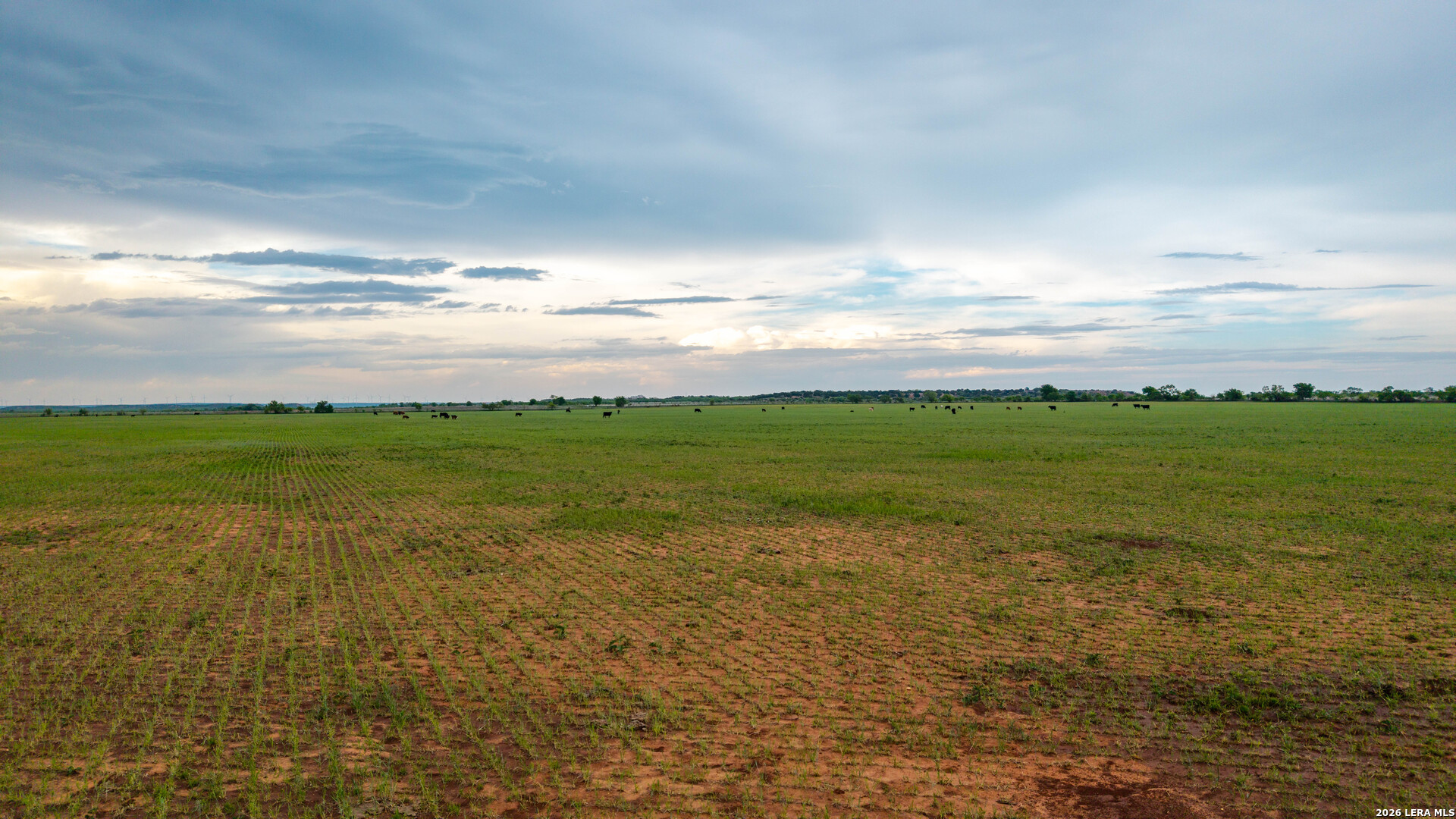 Tbd Tbd Tbd Winters, TX 79567 - Photo 13 of 26