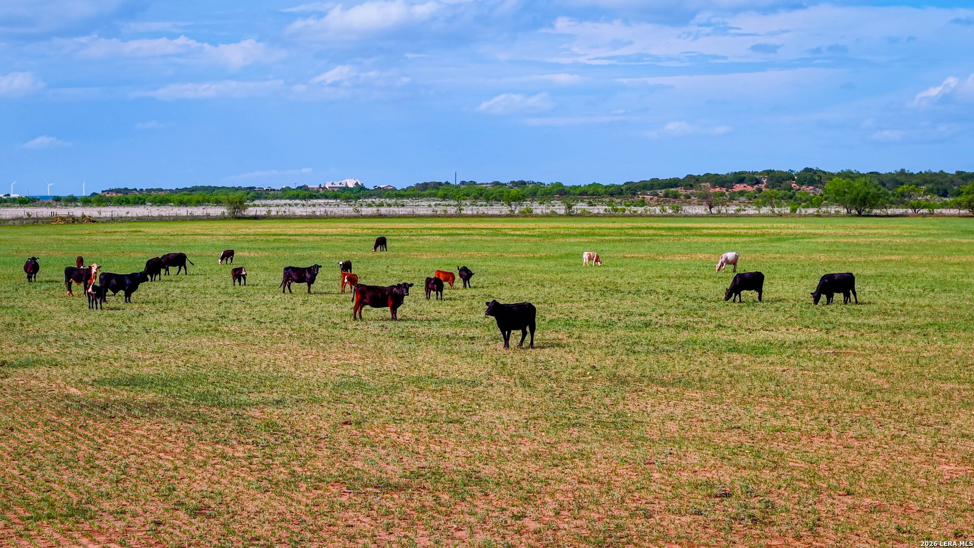 Tbd Tbd Tbd Winters, TX 79567 - Photo 9 of 26
