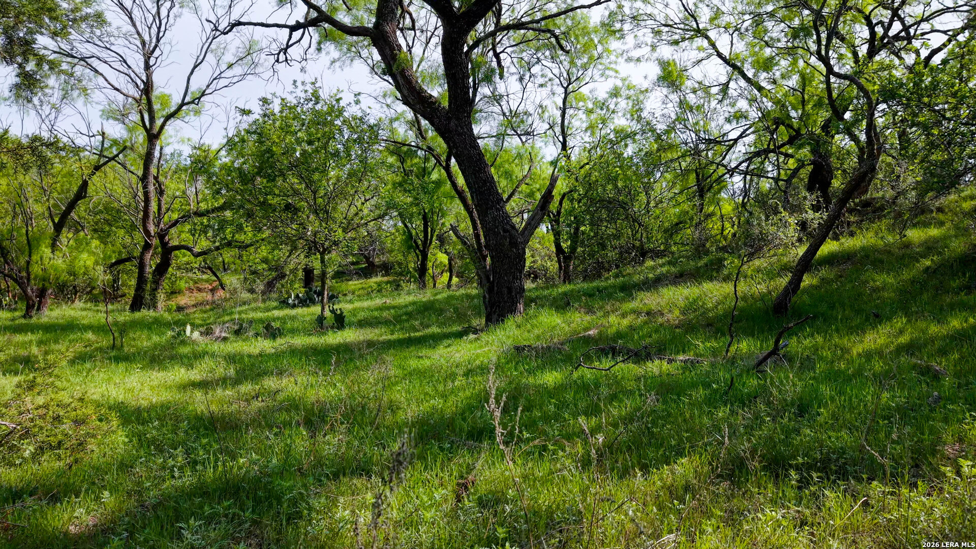 Tbd Tbd Tbd Winters, TX 79567 - Photo 10 of 26