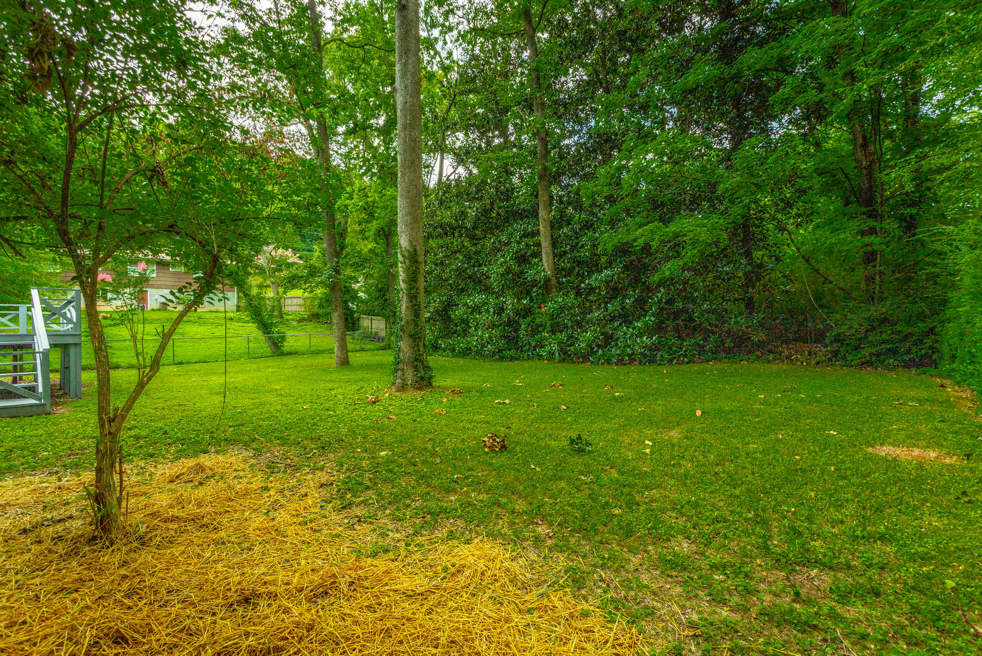 427 Intermont Drive Chattanooga, TN 37415 - Photo 47 of 48 427 Intermont Dr. HD-62