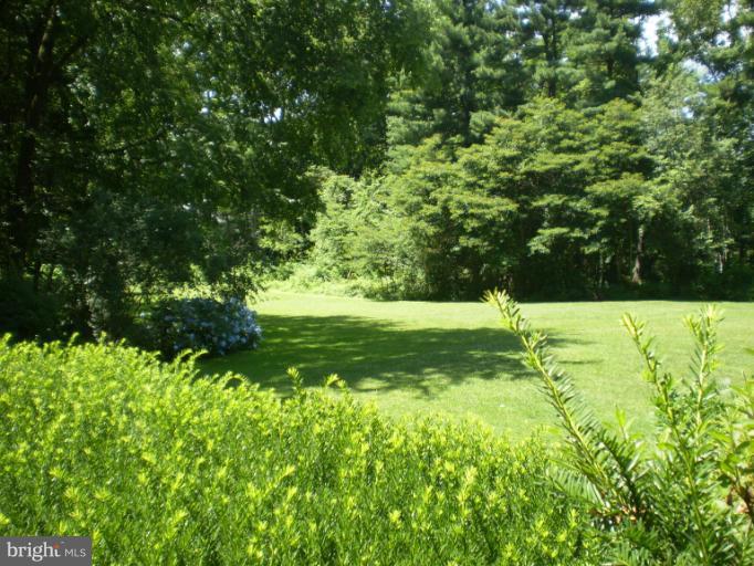 back yard