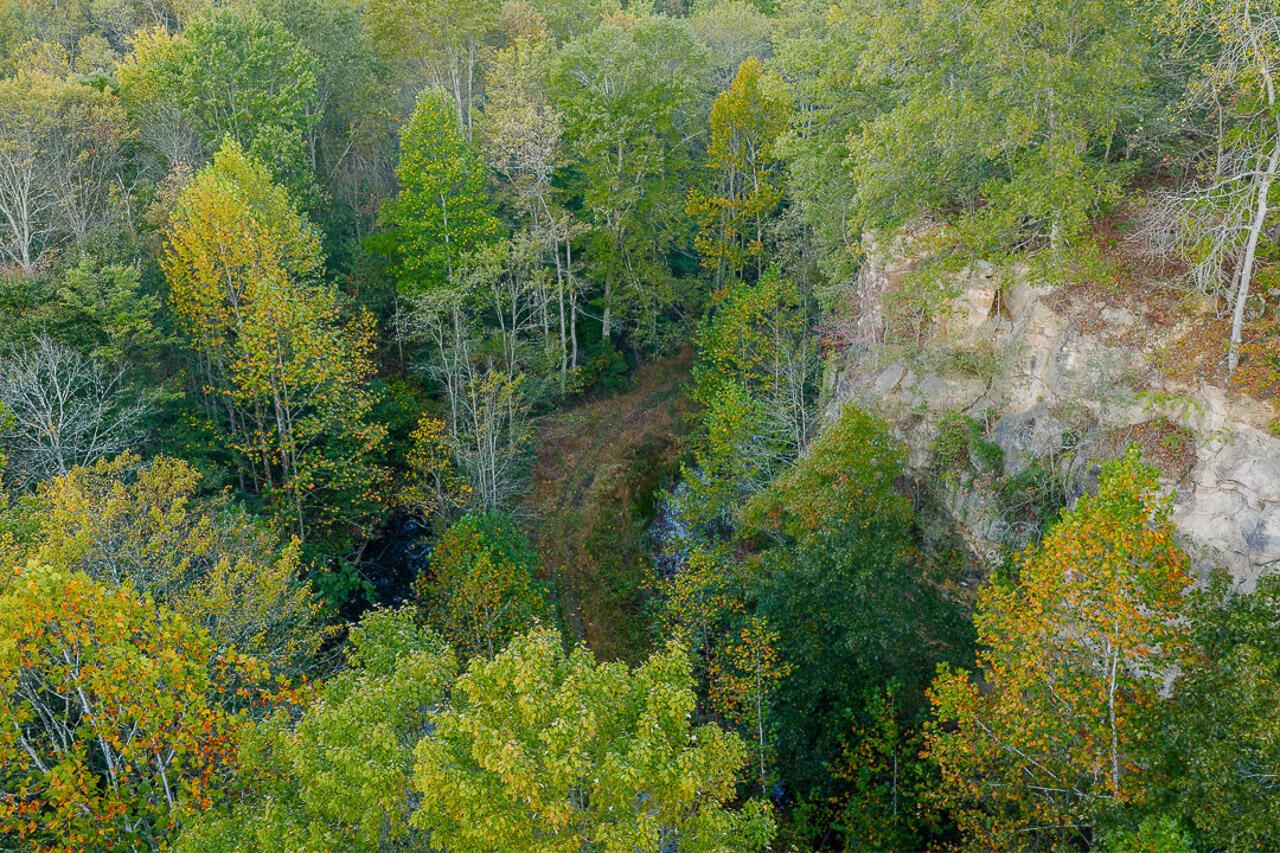 21995 Harrons Ridge Road Dexter City, OH 45727 - Photo 7 of 32 7