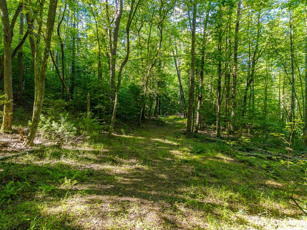 5664 Mobile Road Blue Ridge, GA 30513 - Photo 78 of 81