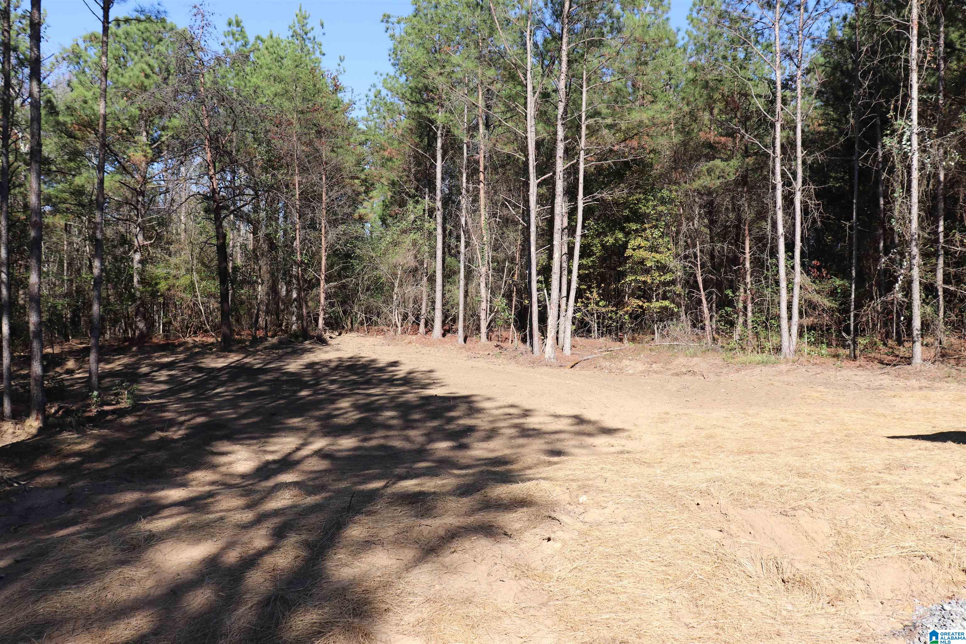 200 Frost Road Oneonta, AL 35121 - Photo 25 of 33 Gallery Image 25