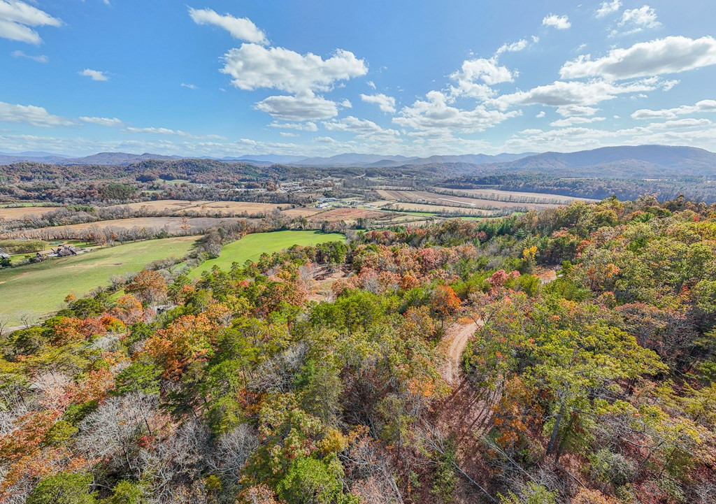 0 Mistletoe Ridge Murphy, NC 28906 - Photo 5 of 34