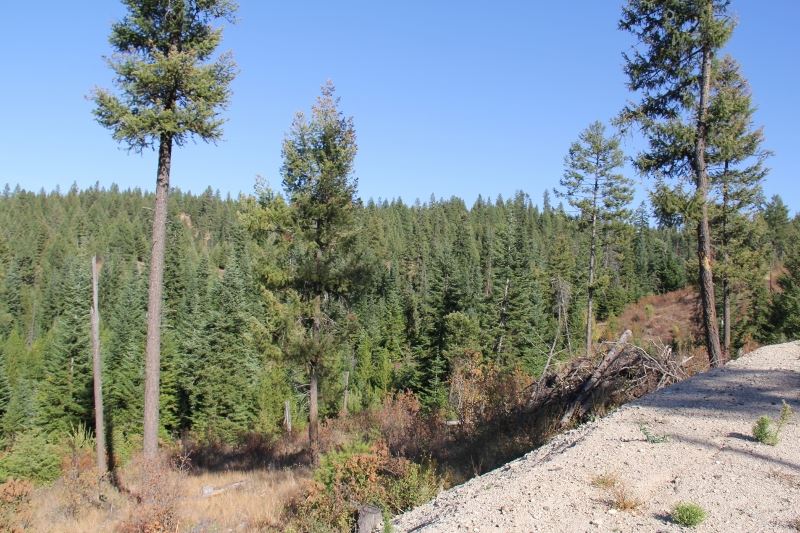 Xx Xx Antler Road Chattaroy, WA 99003 - Photo 14 of 20 Gallery Image 14