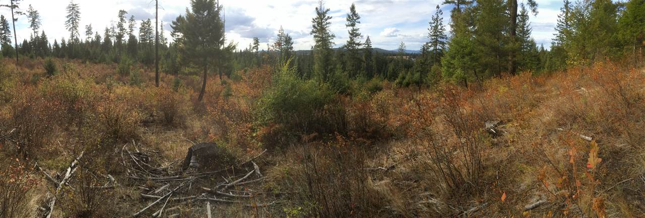 Xx Xx Antler Road Chattaroy, WA 99003 - Photo 3 of 20 Gallery Image 3