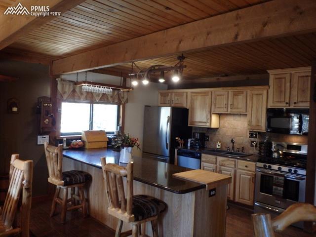 99 Ryolite Road Florissant, CO 80816 - Photo 10 of 36