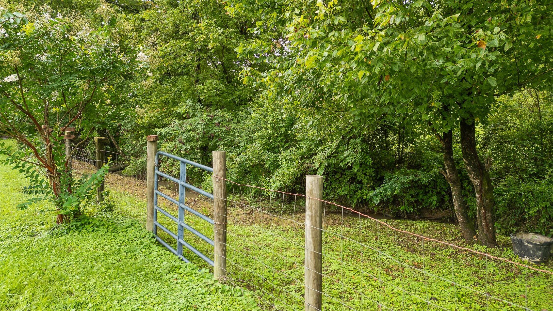 7820 Highway 193 Flintstone, GA 30725 - Photo 31 of 38 Creek running along property