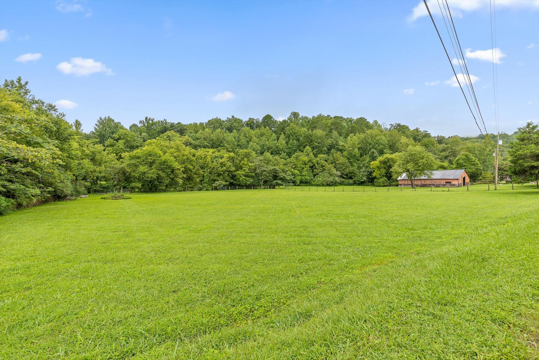 7820 Highway 193 Flintstone, GA 30725 - Photo 32 of 38 View of acreage