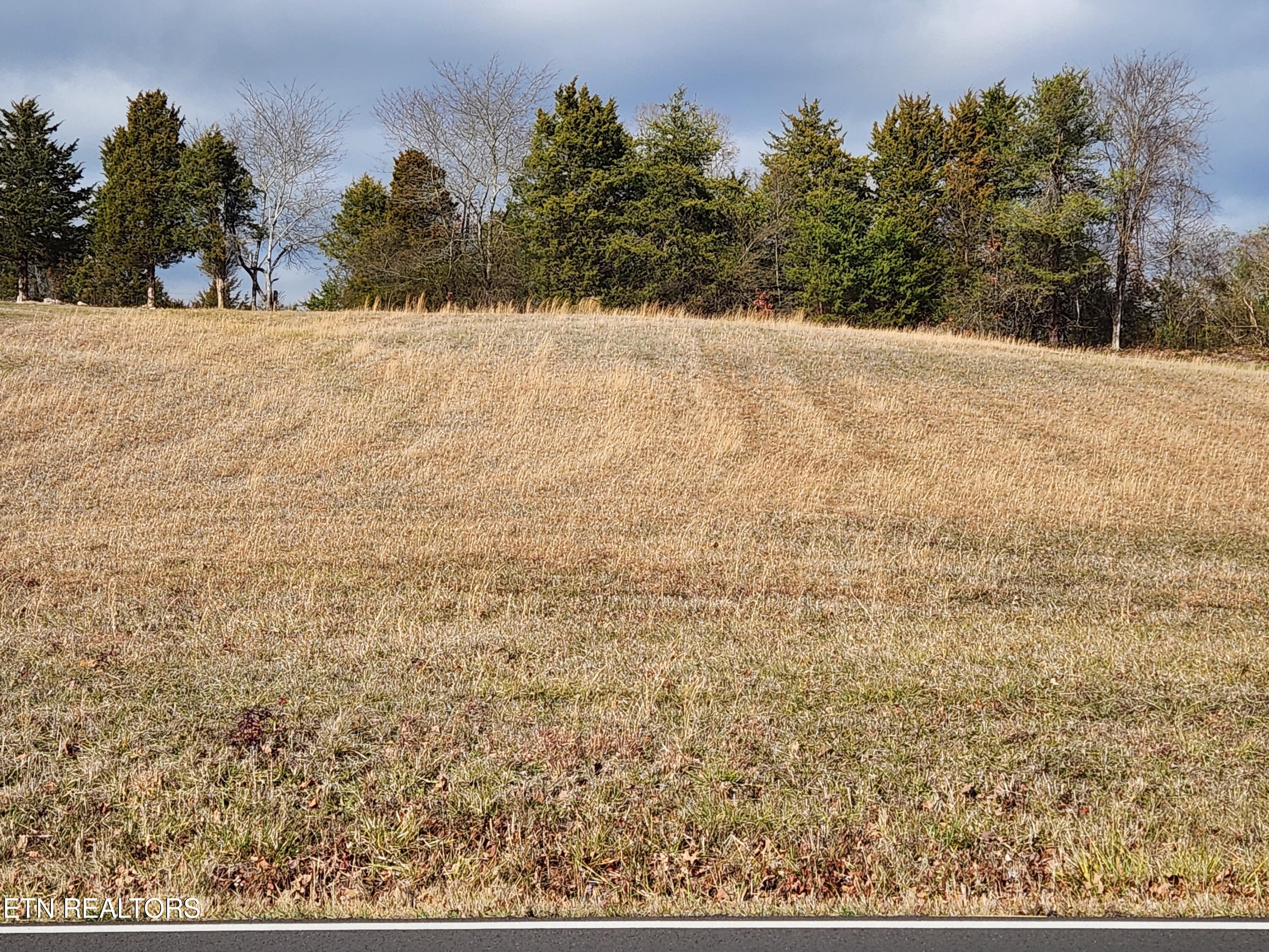 Lot 33 New Center Road Sevierville, TN 37876 - Photo 19 of 25 20240110_141811