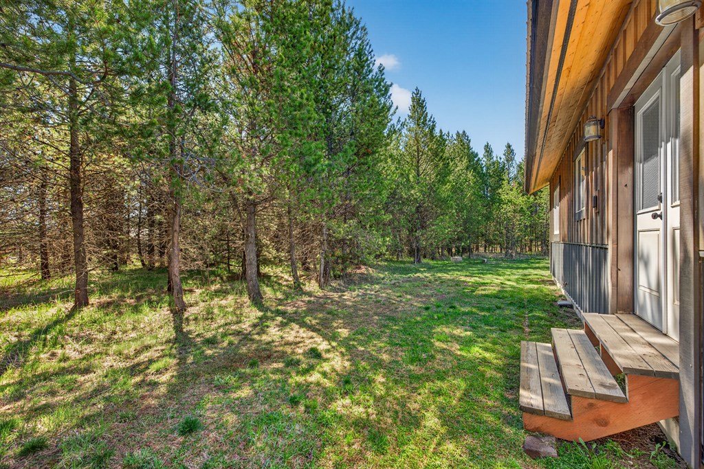 13388 Norwood Road McCall, ID 83638 - Photo 20 of 60 Backyard