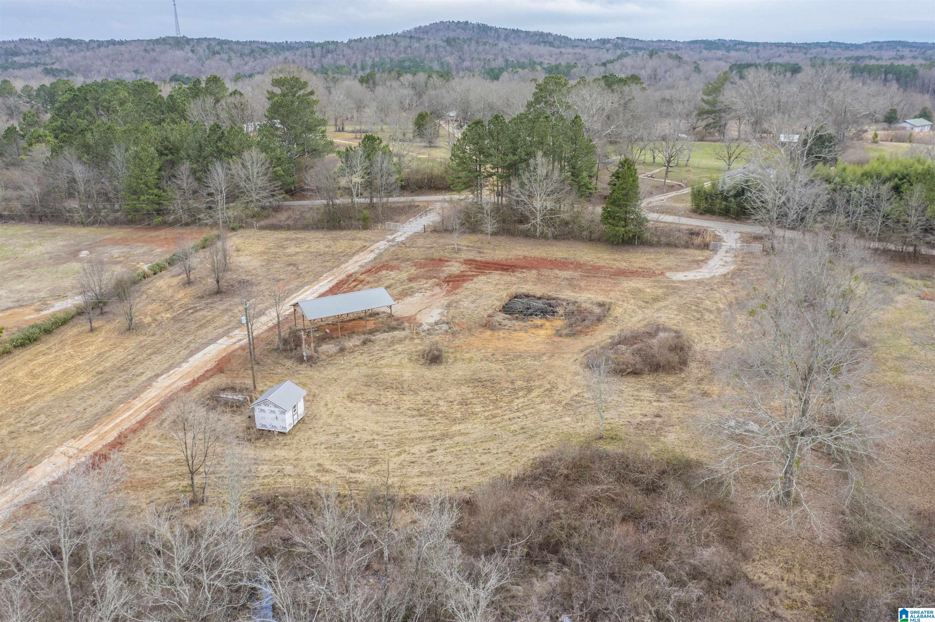 1619 Old Downing Ml Road, Unit 40 03 ACRES Anniston, AL 36207 - Photo 28 of 29