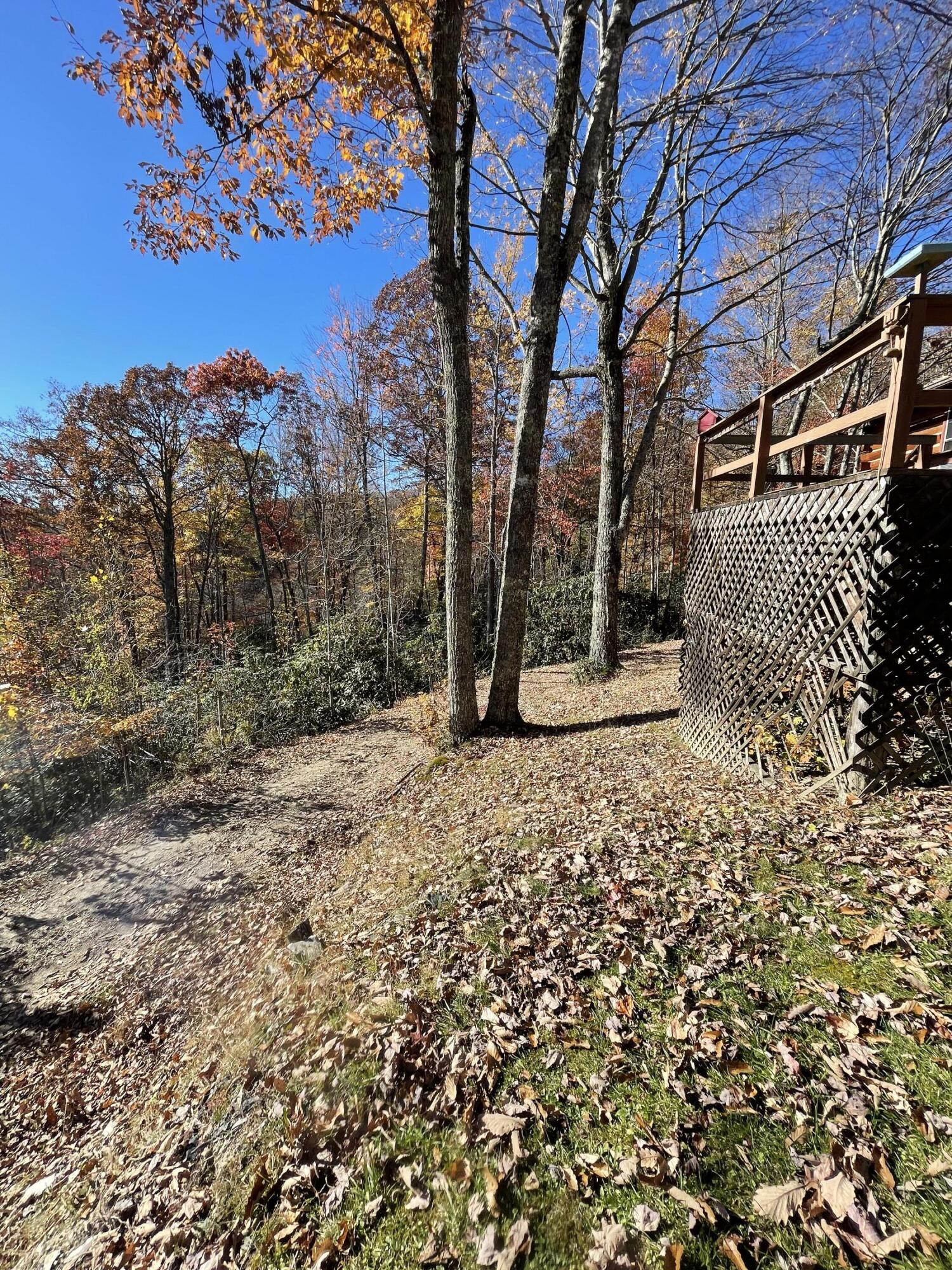 604 Dotson Road Trade, TN 37691 - Photo 67 of 84 IMG_2432
