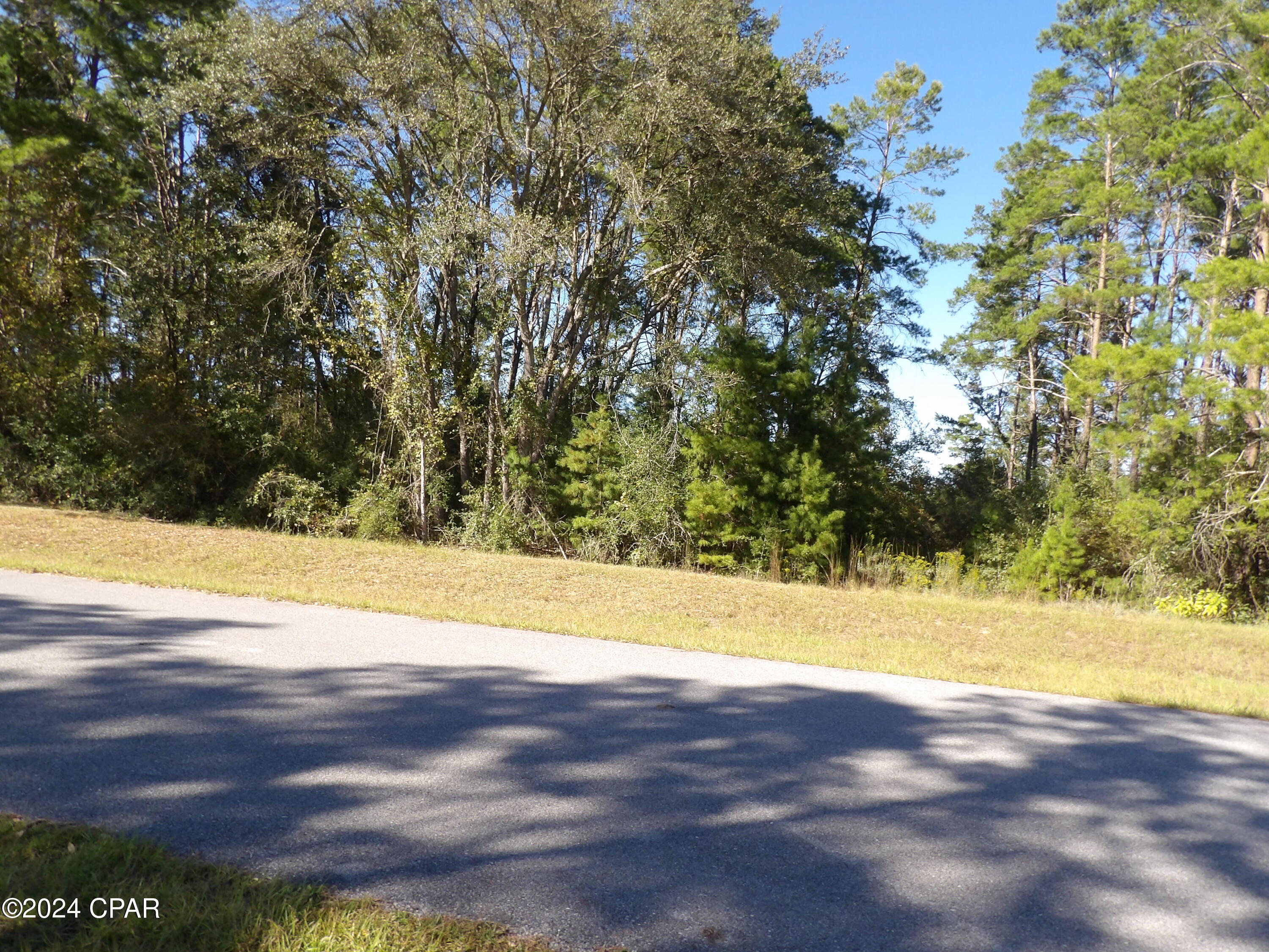 14725 Bream Pond Road Panama City, FL 32409 - Photo 11 of 21 Gallery Image 11