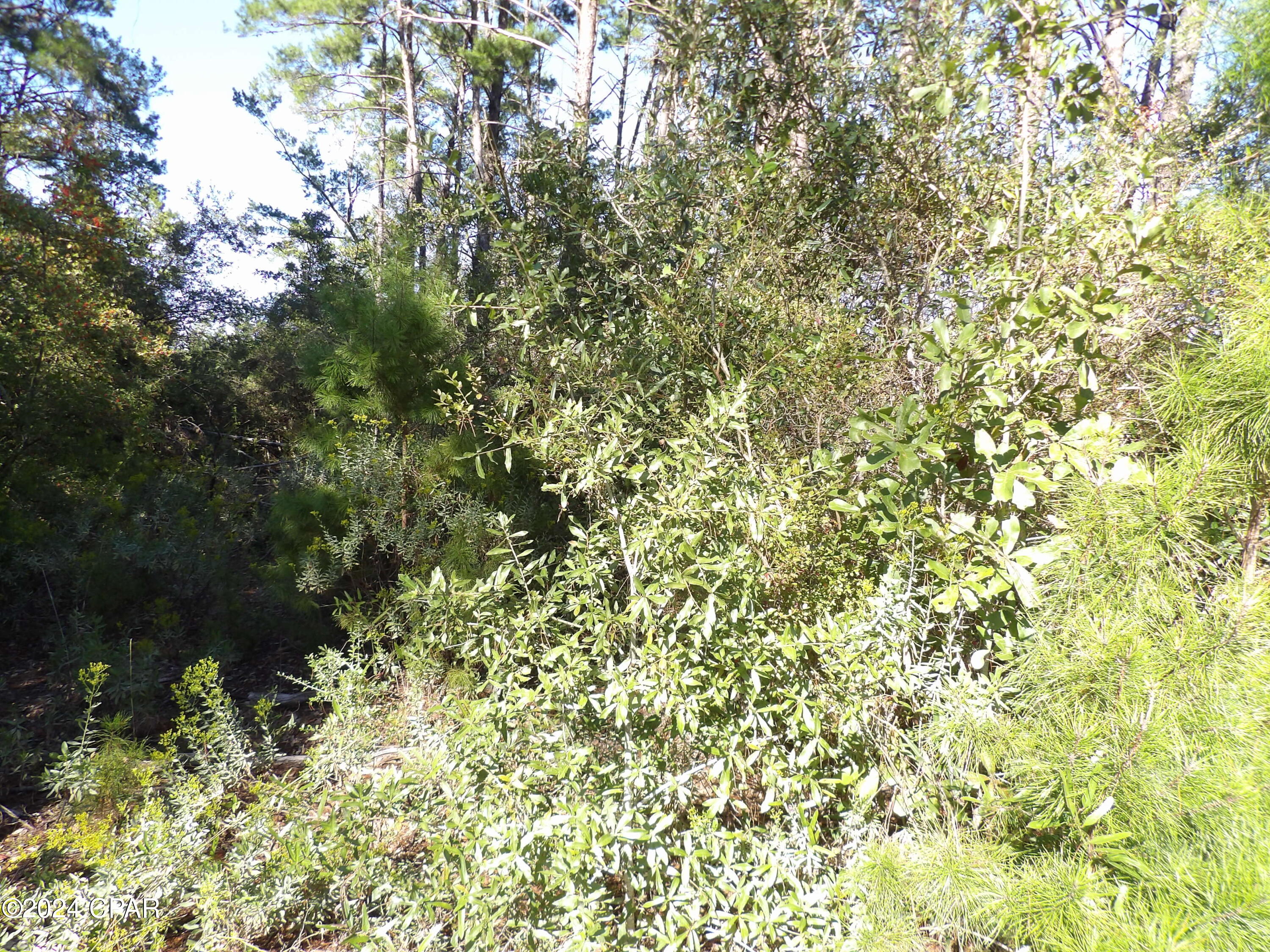14725 Bream Pond Road Panama City, FL 32409 - Photo 13 of 21 Gallery Image 13