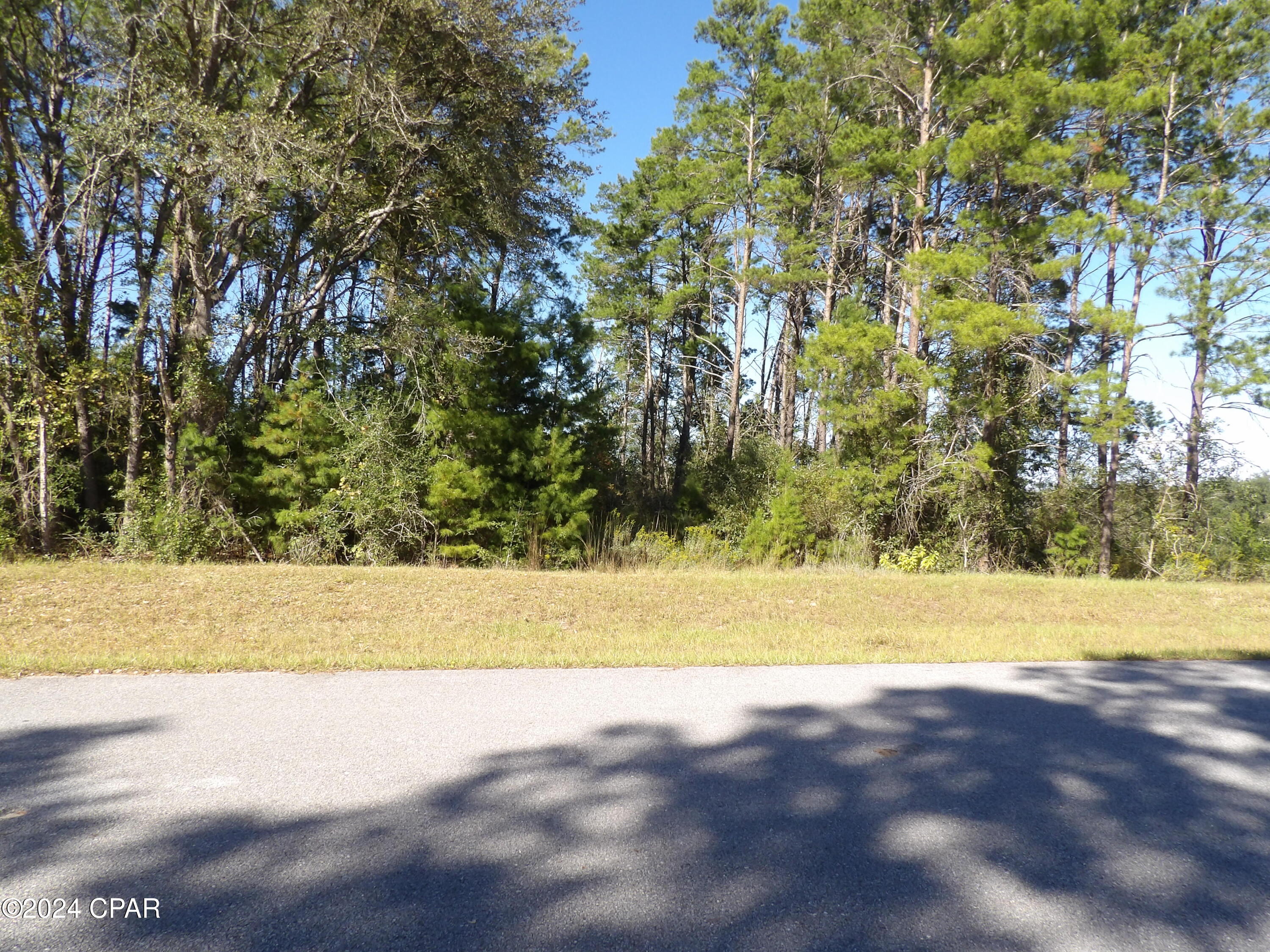 14725 Bream Pond Road Panama City, FL 32409 - Photo 14 of 21 Gallery Image 14