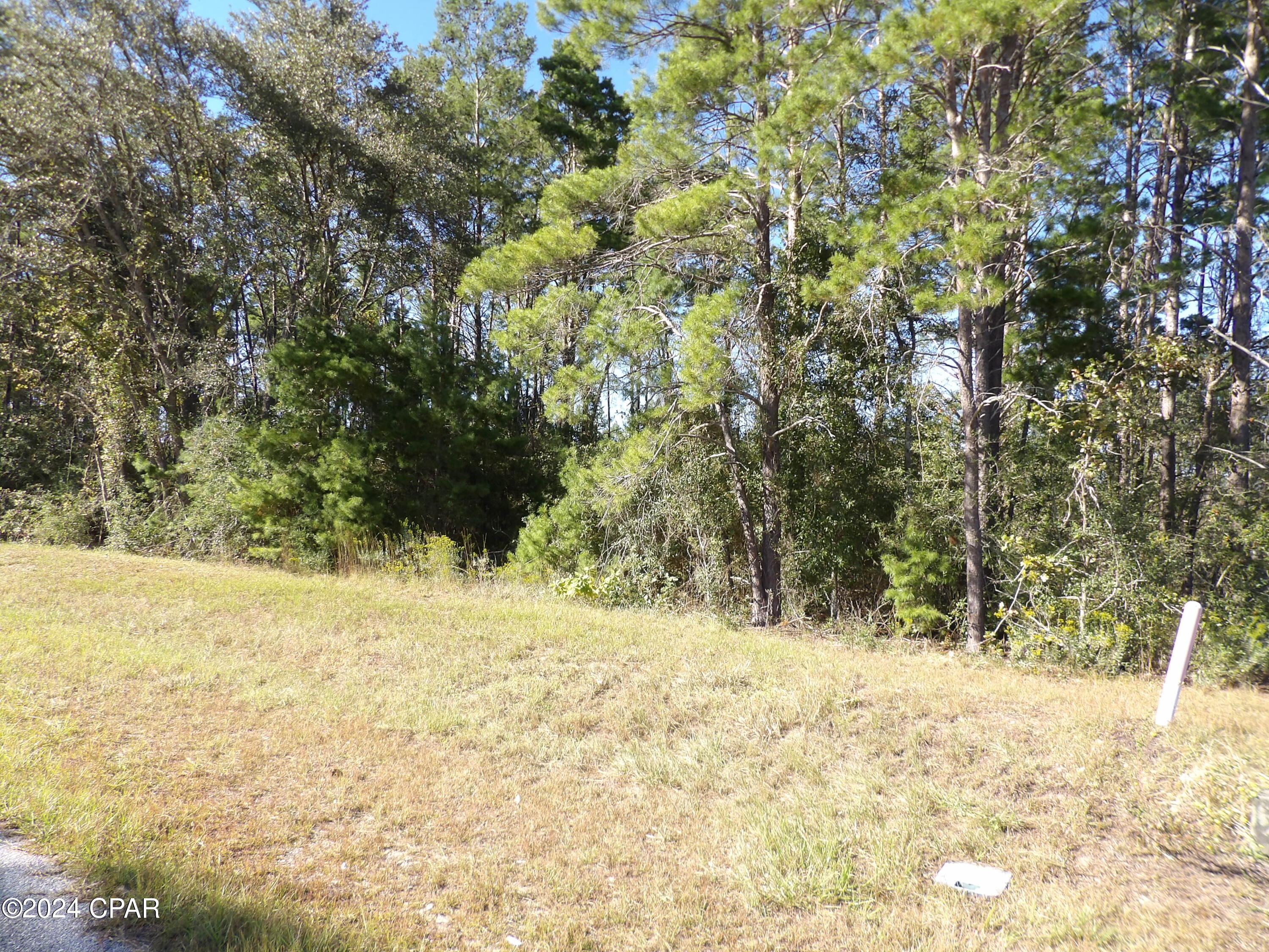 14725 Bream Pond Road Panama City, FL 32409 - Photo 8 of 21 Gallery Image 8