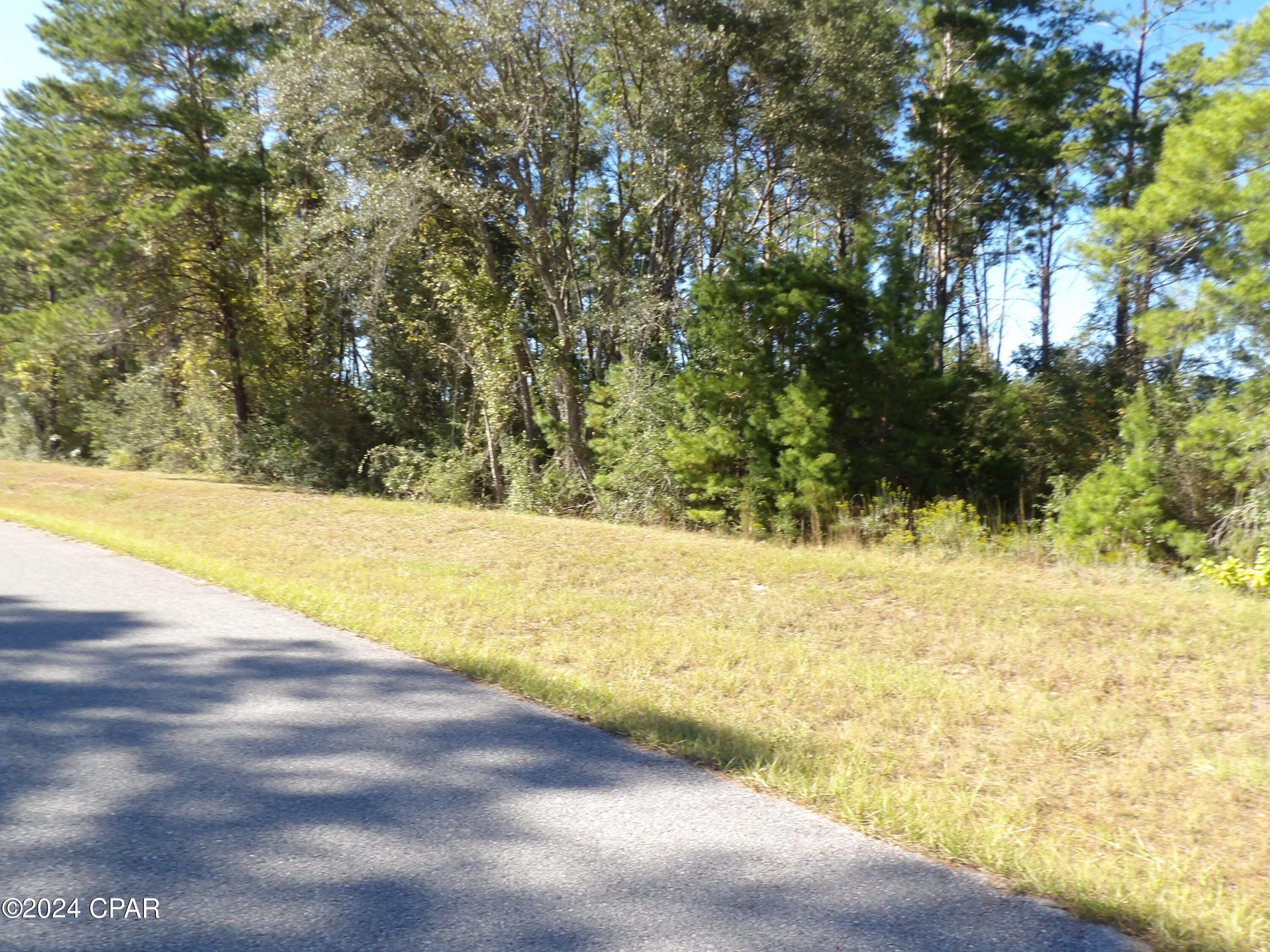 14725 Bream Pond Road Panama City, FL 32409 - Photo 9 of 21 Gallery Image 9