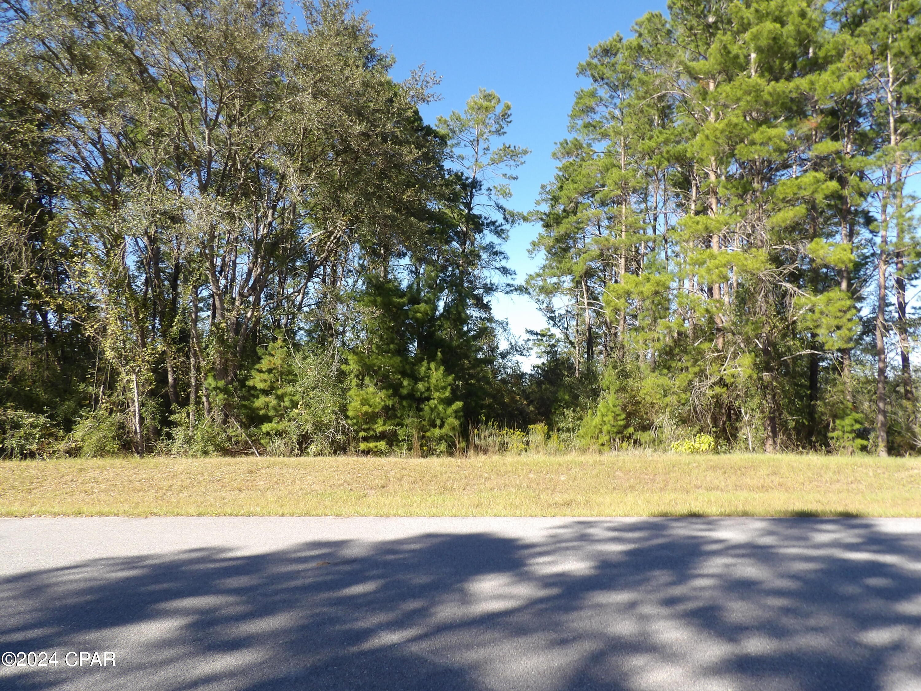 14725 Bream Pond Road Panama City, FL 32409 - Photo 10 of 21 Gallery Image 10