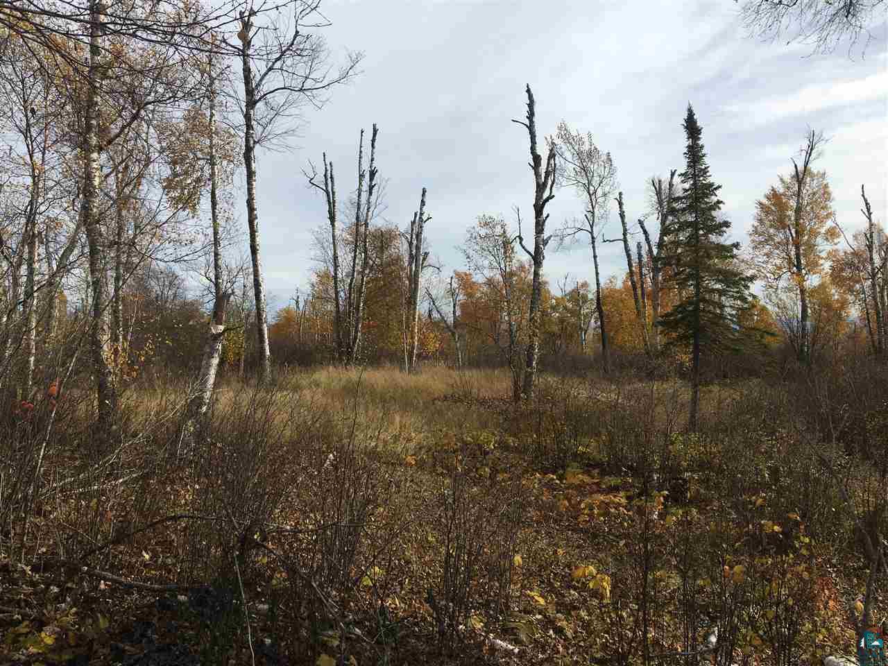 4-xx Boulder Point Road Lutsen, MN 55612 - Photo 5 of 6