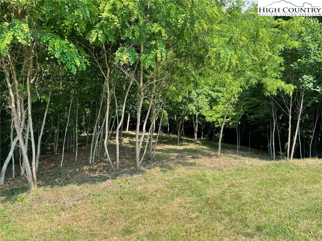 Lot 14 Gable Farm Road Boone, NC 28607 - Photo 4 of 12