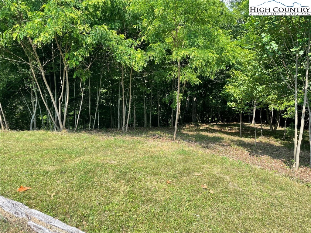 Lot 14 Gable Farm Road Boone, NC 28607 - Photo 5 of 12
