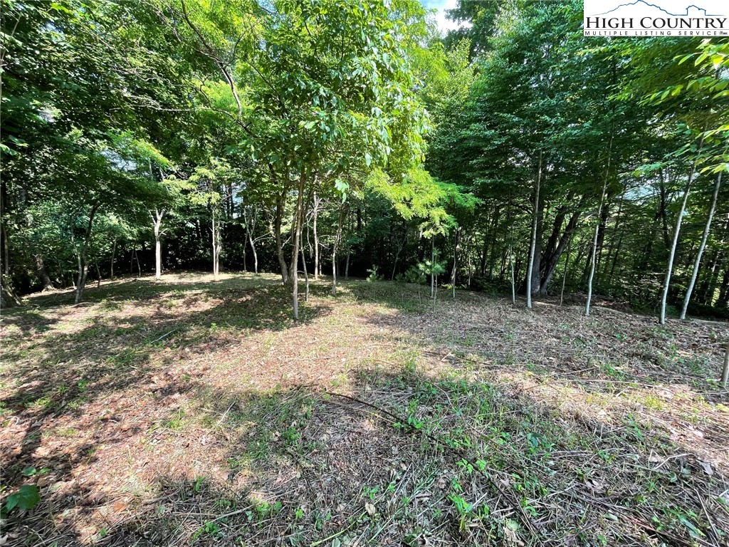 Lot 14 Gable Farm Road Boone, NC 28607 - Photo 6 of 12
