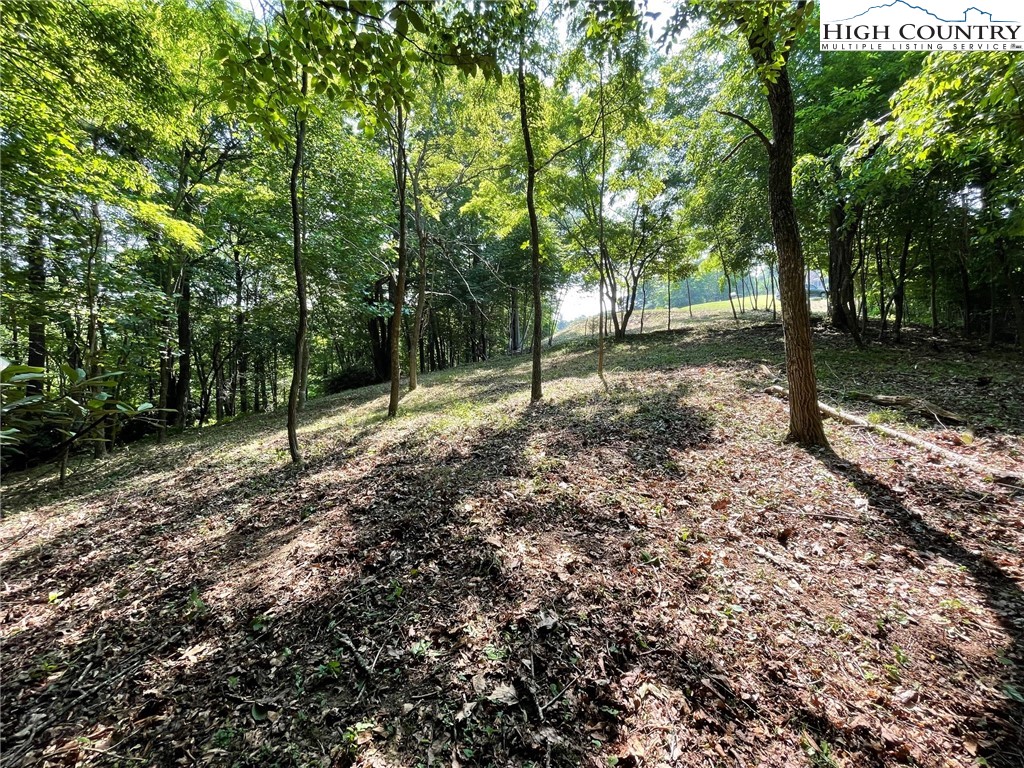Lot 14 Gable Farm Road Boone, NC 28607 - Photo 8 of 12