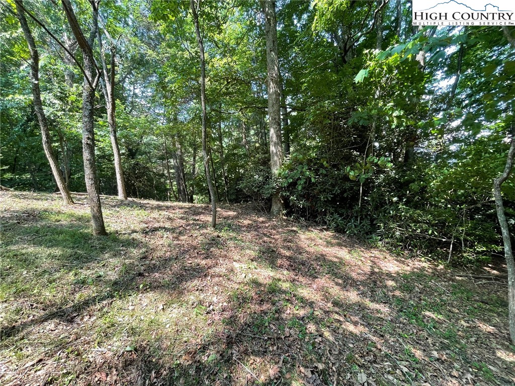 Lot 14 Gable Farm Road Boone, NC 28607 - Photo 10 of 12