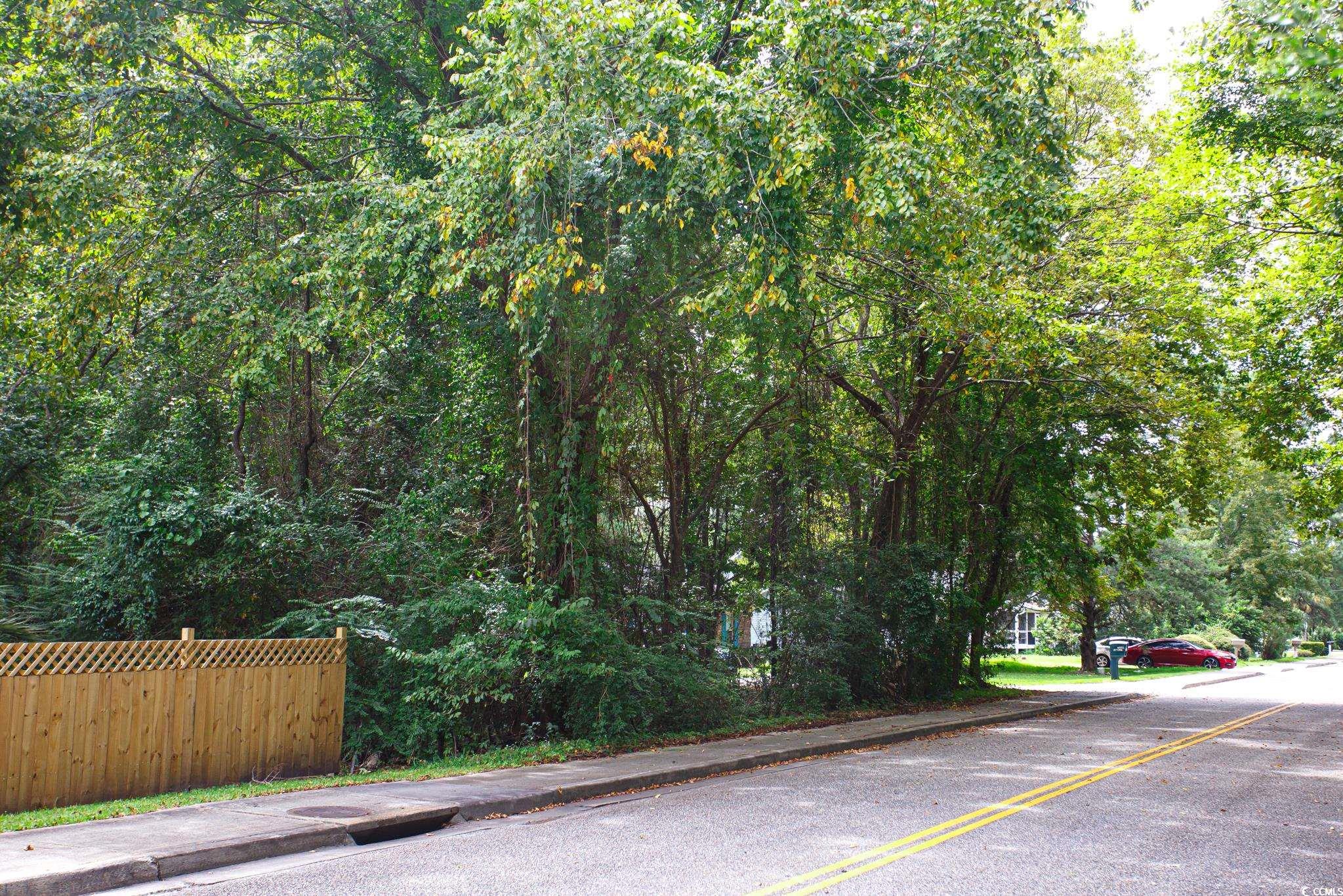 1211 Washington Street Myrtle Beach, SC 29577 - Photo 14 of 15