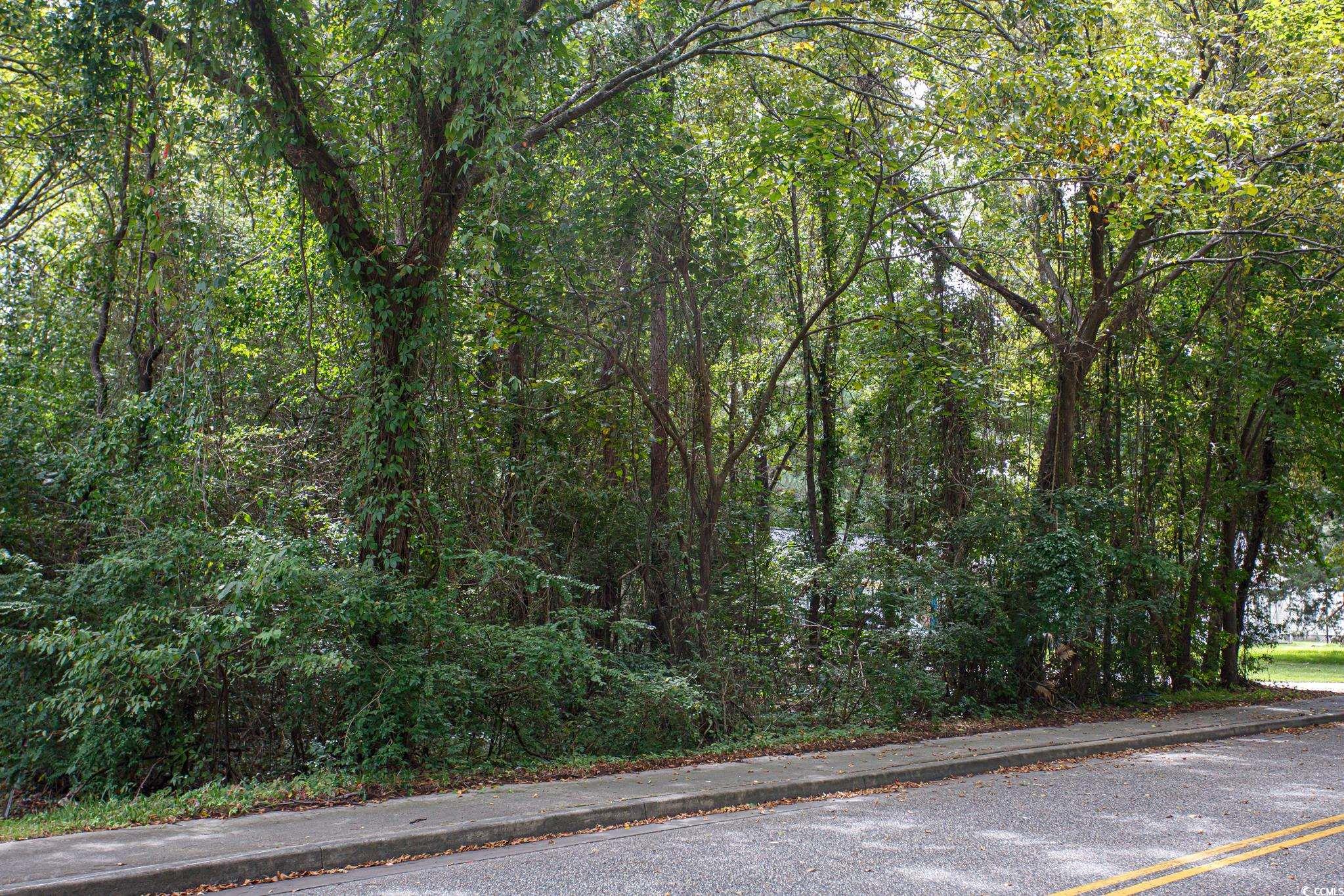1211 Washington Street Myrtle Beach, SC 29577 - Photo 3 of 15