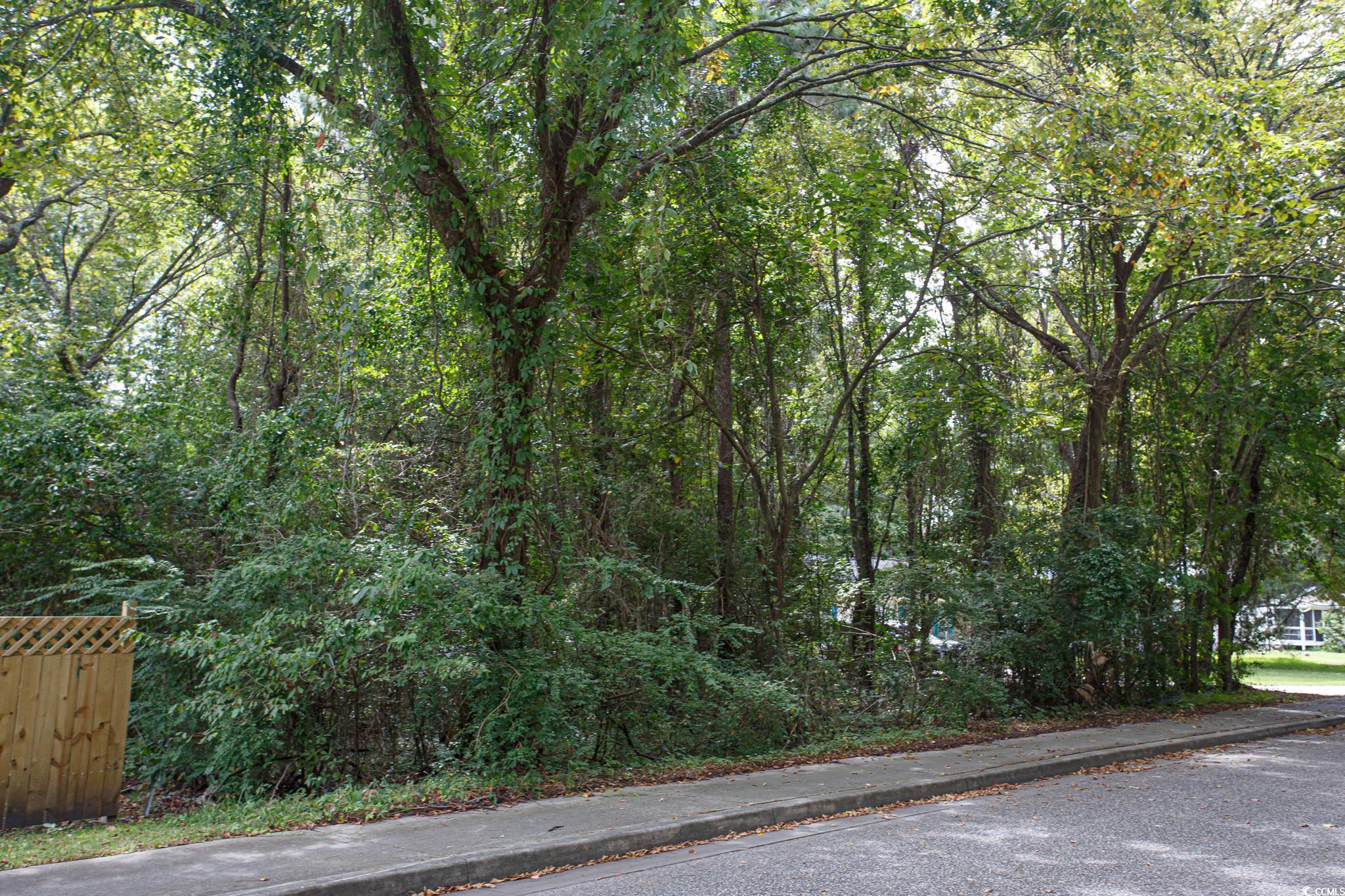 1211 Washington Street Myrtle Beach, SC 29577 - Photo 4 of 15